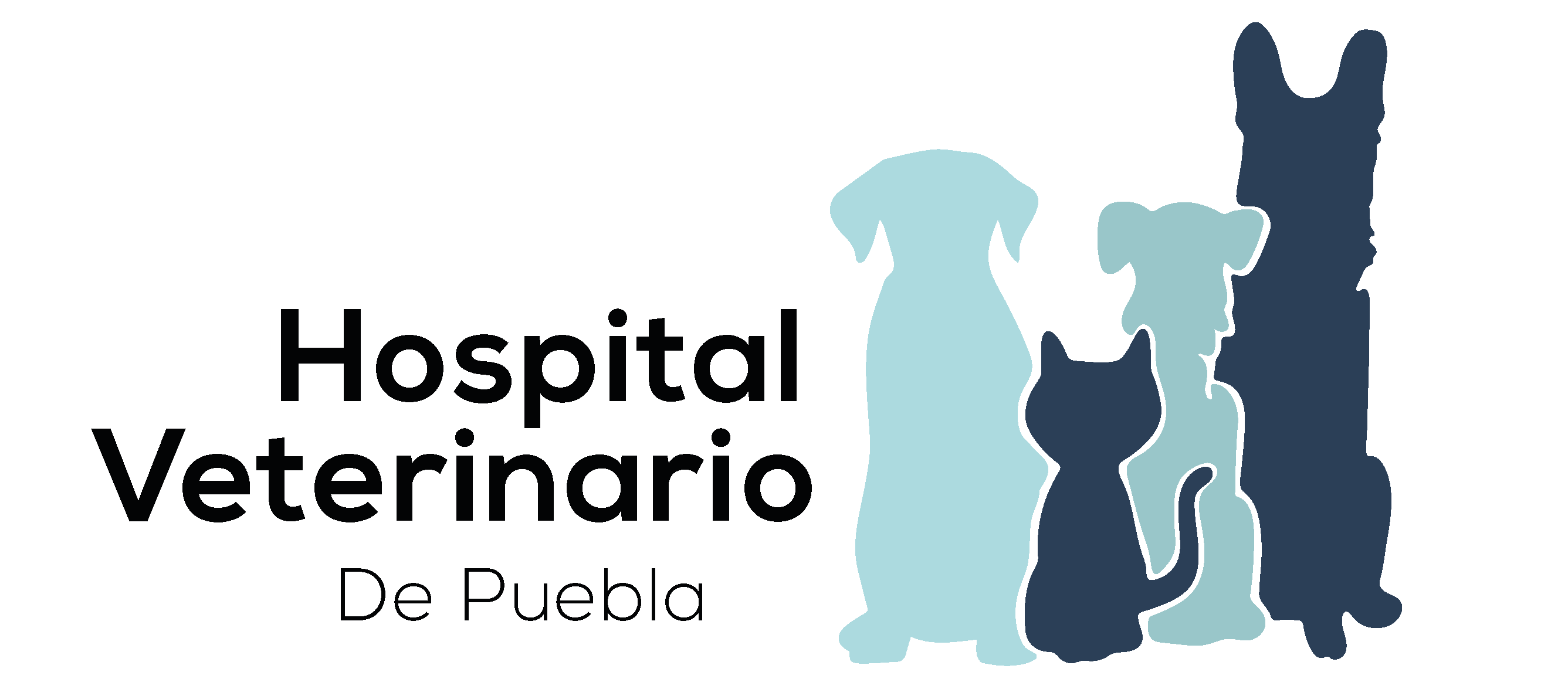 Hospital Veterinario